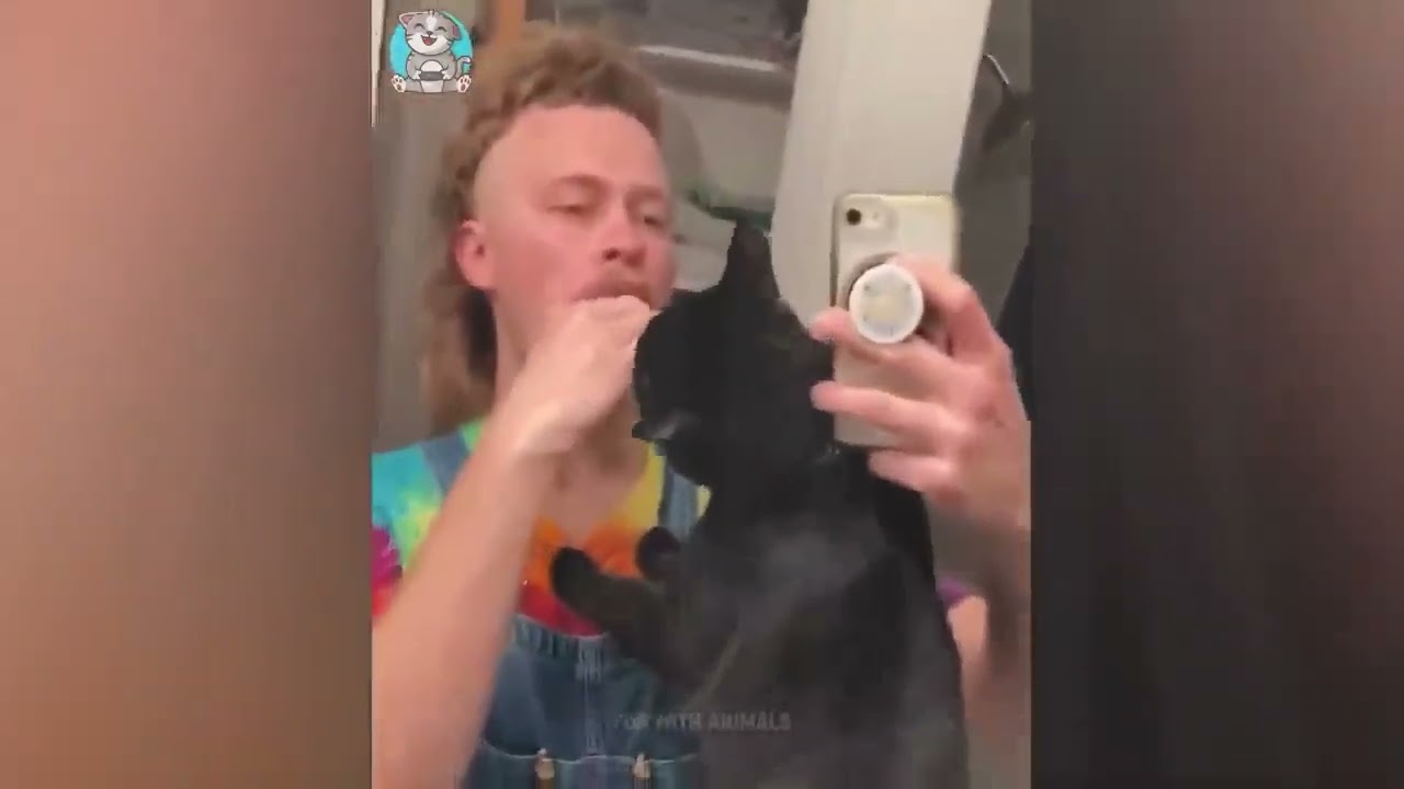 Приколы с котами и собаками   Смешные животные видео 2026