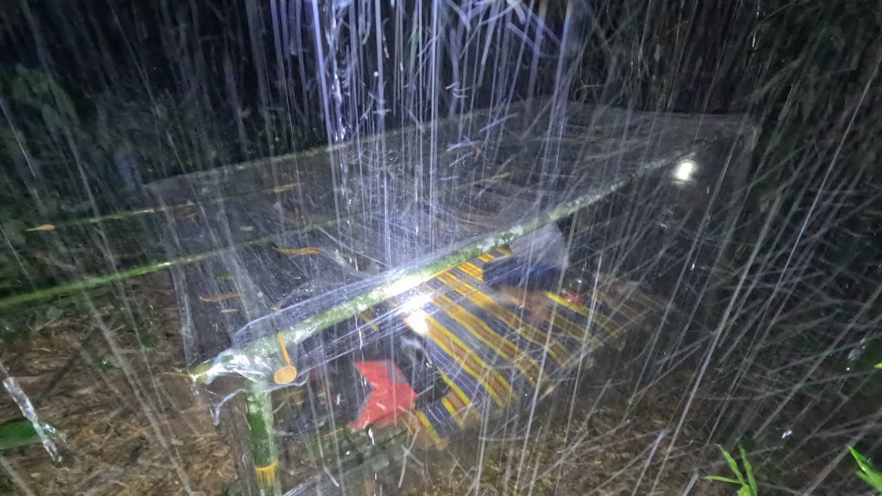 ค้างคืนในป่าดงดิบ เอาชีวิตรอดจากพายุฝนถล่มหนักมาก ฟ้าร้องฟ้าผ่า  ที่พักสร้างด้วยพลาสติกห่ออาหารep145