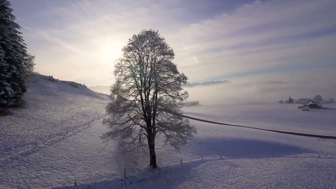 FPV Wintermoods iFlight Chimera 7 Pro & Sony ZV E10