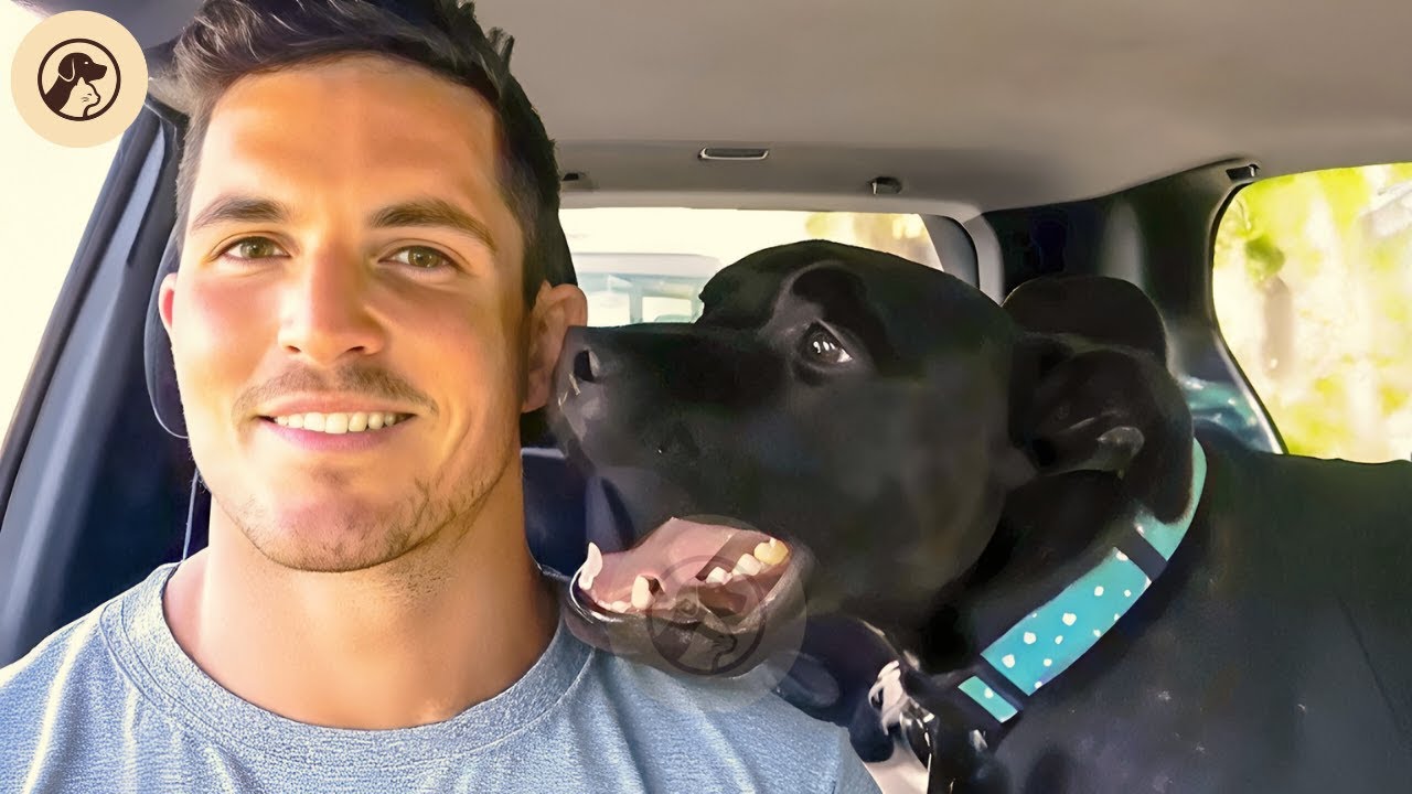 He Went To Adopt One Dog But This Shelter Dog Would Not Stop Talking To Him | FaithfulFriends