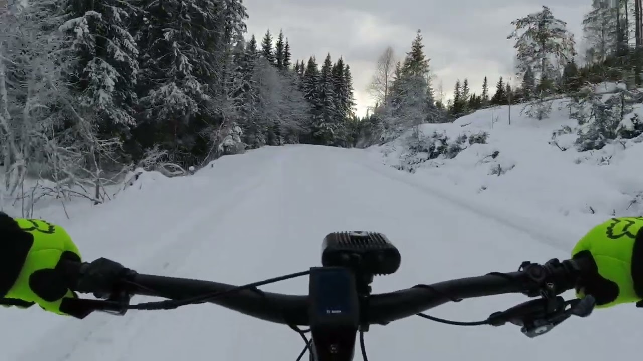Suomi tyres wxc piikkisika on Focus thron2