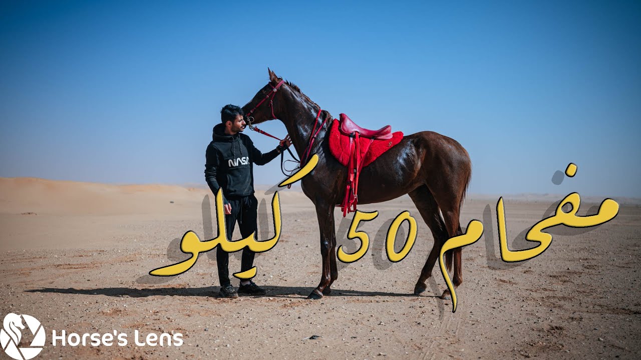 Endurance Horses (2)  مفحام خيل القدرة والتحمل في حدبا قذلة