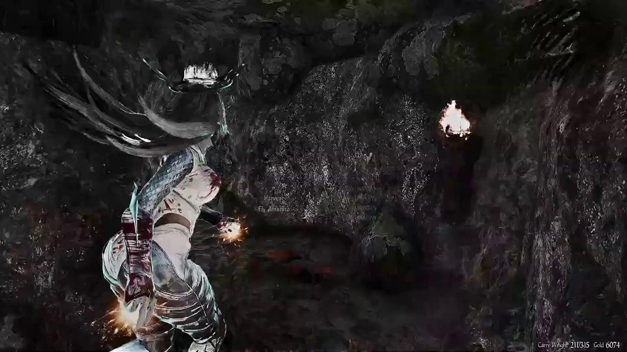 1300+ Mods Skyrim SE Testing Modlist Below