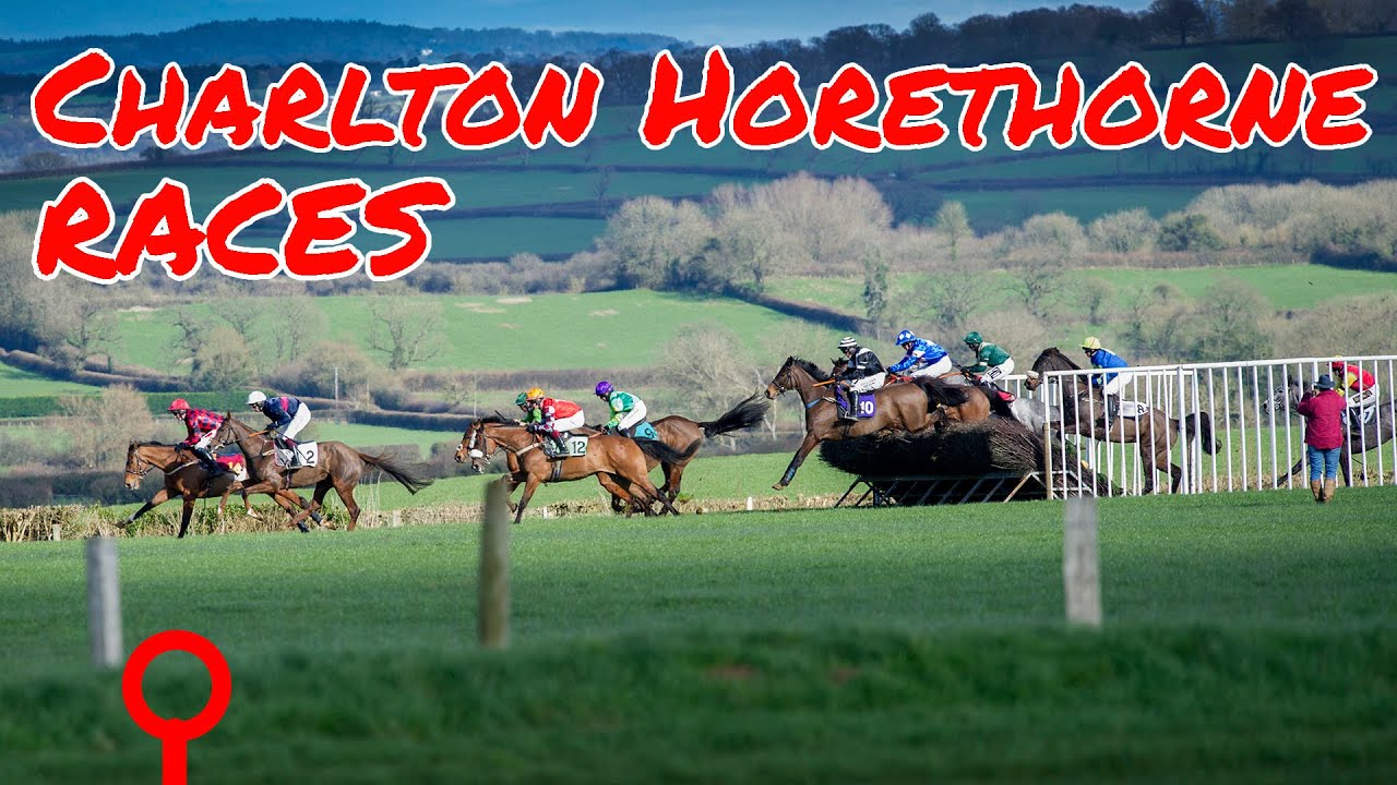 Charlton Horethorne point-to-point horse races 2024. Steeplechasing for fun.