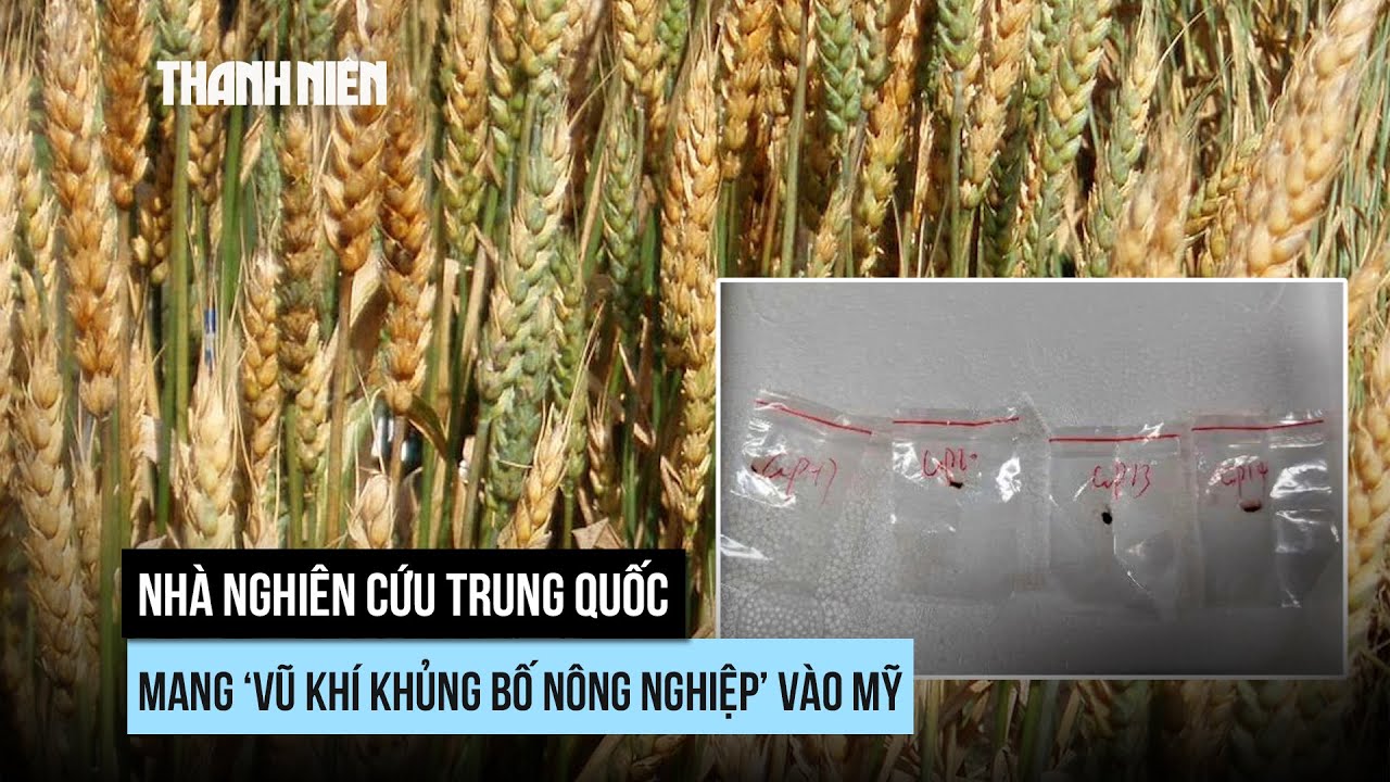 Nhà nghiên cứu Trung Quốc mang 