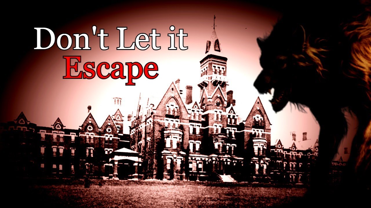 Hen House | ASYLUM HORROR STORY