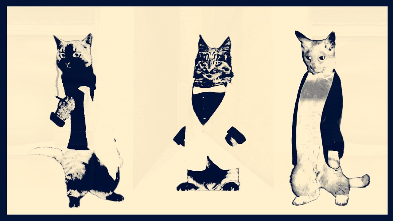 Secret Cat Business