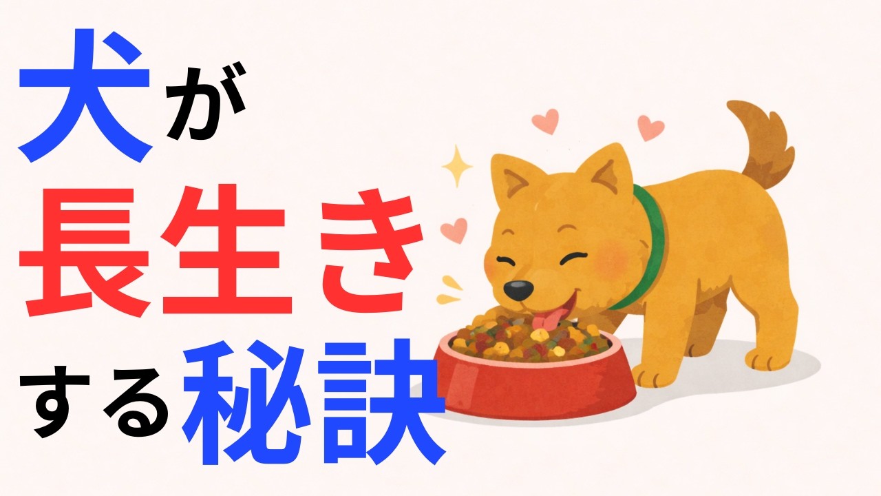 【最新研究】犬の寿命が約3年も変わる！？まだ知られていない