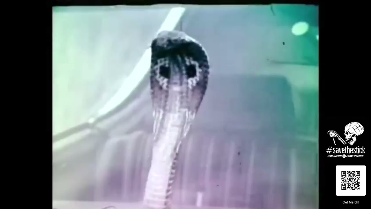THE 1969 COBRA TORINO - THE FORD COMMERCIAL