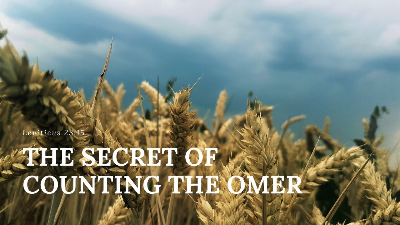 The Secret of Counting the Omer: Leviticus 23:15