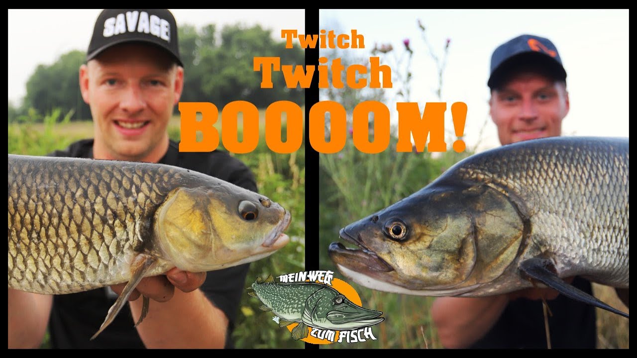 Twitch Twitch Booom! Neuer Köder=PB? Angeln auf Döbel und Rapfen mit dem Savage Gear Gravity Twitch