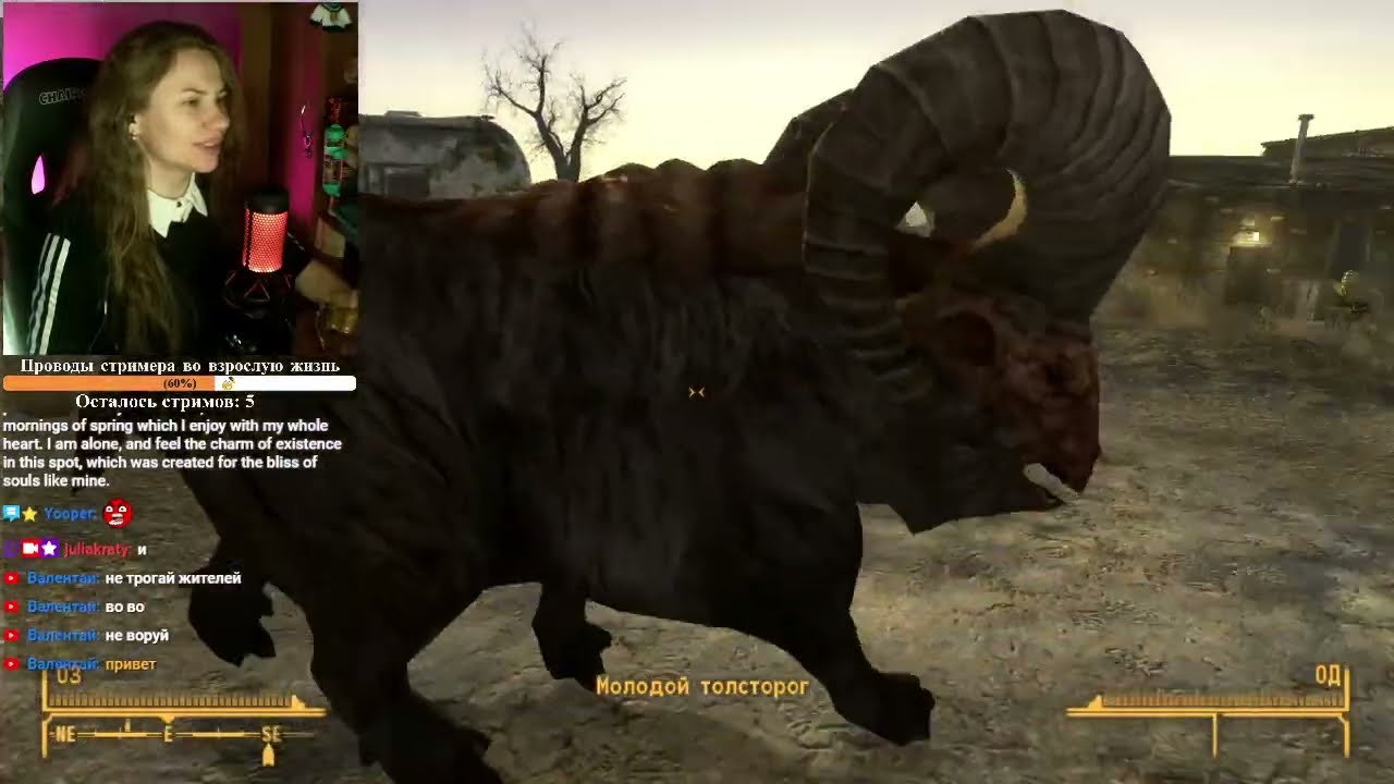 Радиопассивная служба доставки ☢ Fallout: New Vegas. Часть 1. #Общение #Позитив
