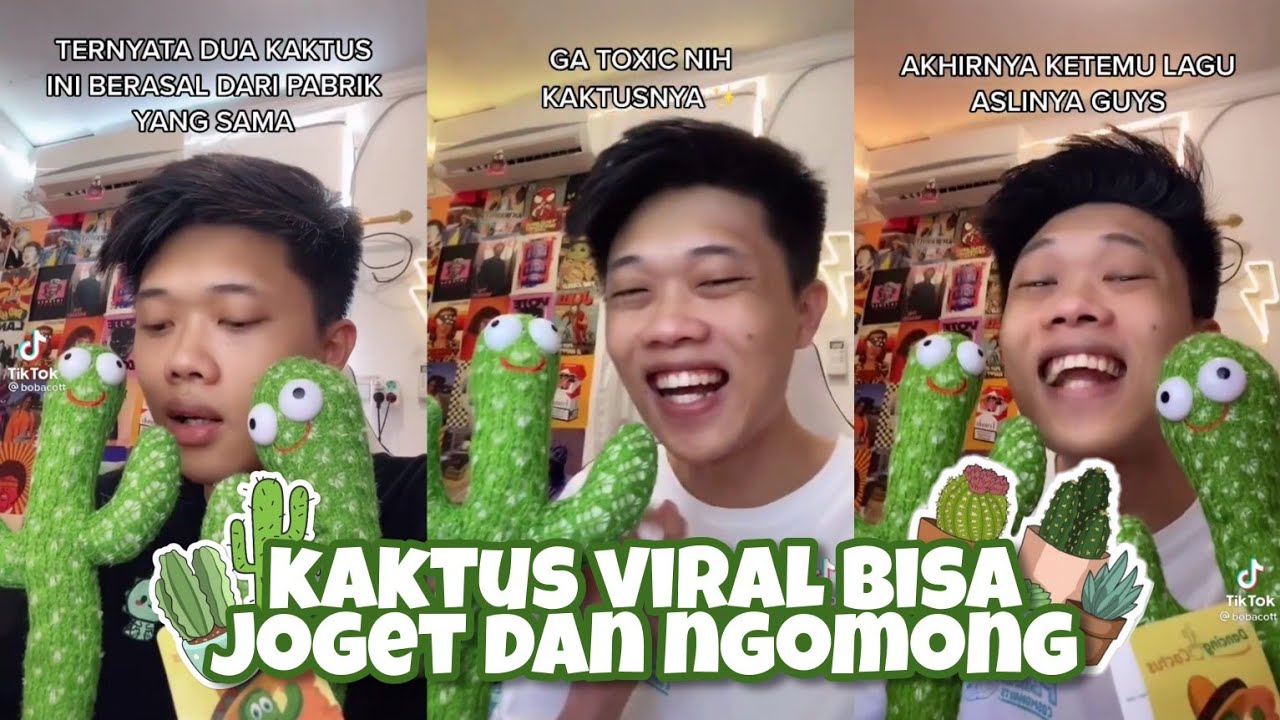 Review kaktus goyang dan bisa ngomong check ‼️| Boneka kaktus viral di tiktok, wajib beli❗️