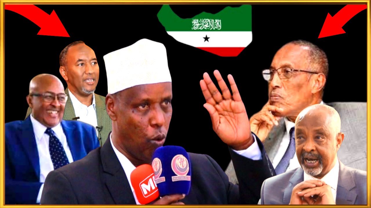 Xasaasi: 