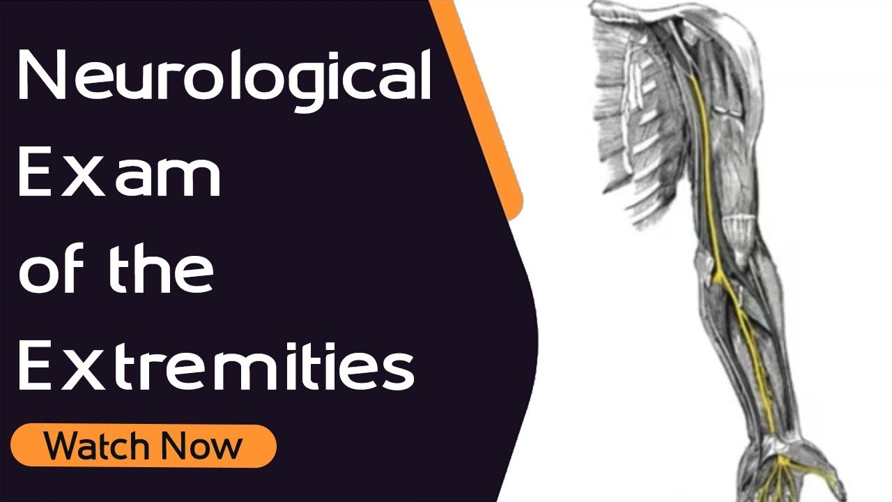 Неврологический осмотр конечностей