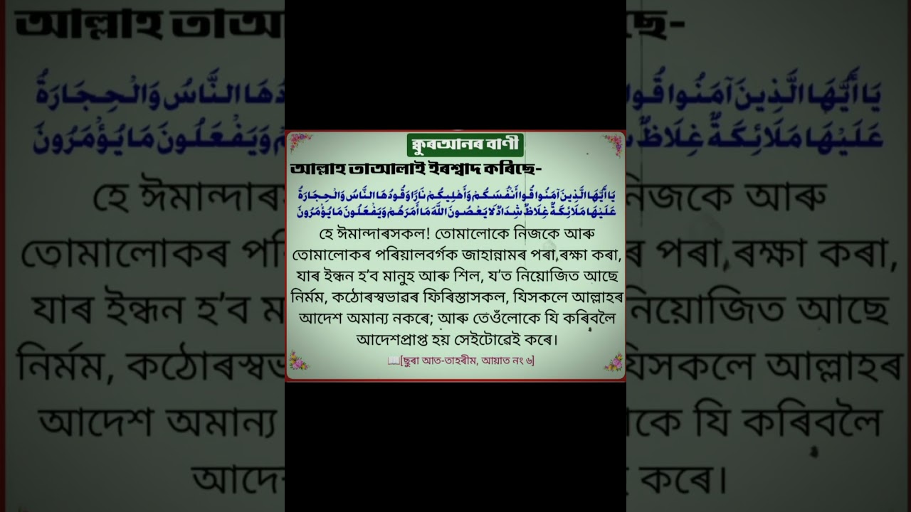 Assames hadish //#shorts #hadish #assamese //