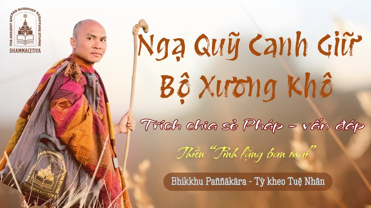 Ngạ Quỹ Canh Giữ Bộ Xương Khô | Sư Tuệ Nhân | Thiền Tĩnh Lặng Ban Mai