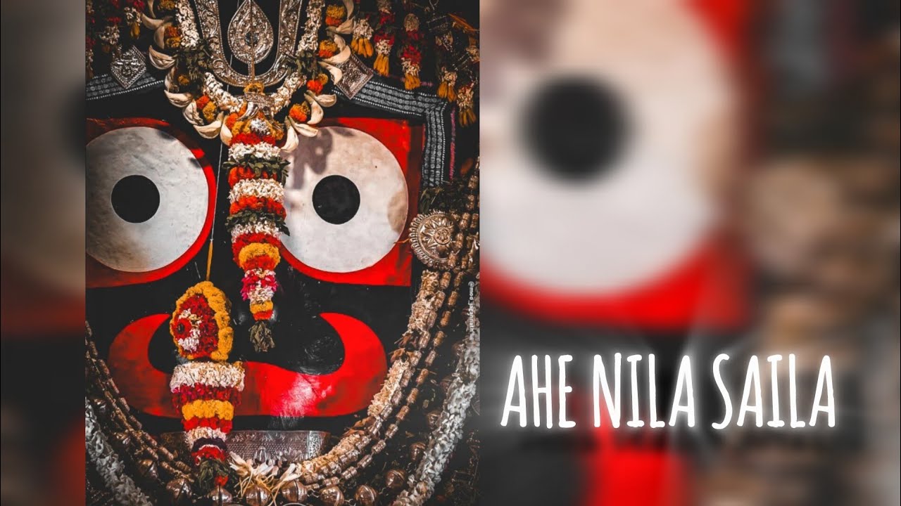 Ahe Nila Saila | Lord Jagannath Bhajan |Crazy bird 
