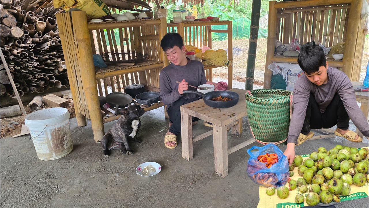 Thanh went into the forest to pick wild fruits to sell and use the manure to fertilize his garden.