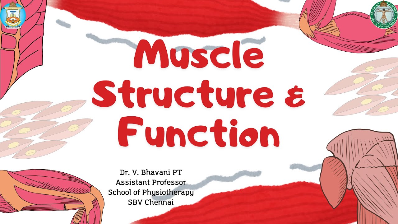 Muscle Structure and Function Part 1 | Biomechanics | Dr. V. Bhavani | SoPT | SBV Chennai