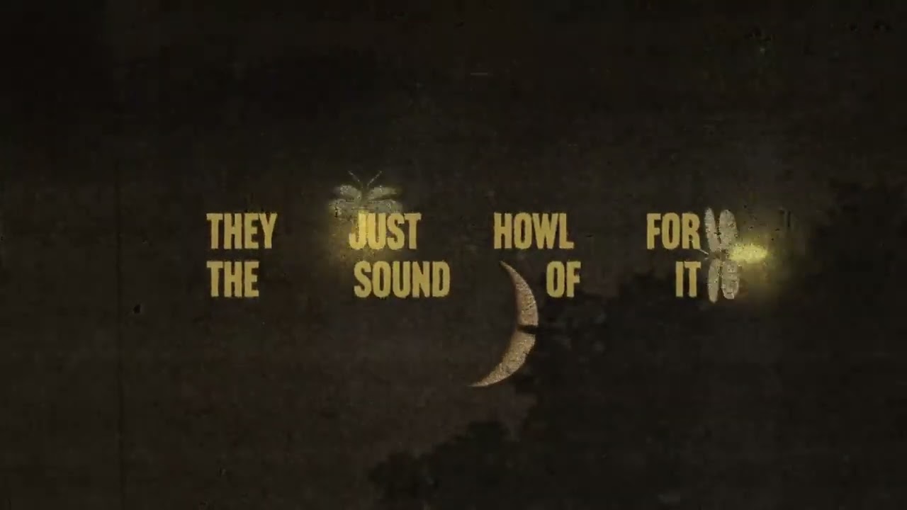 Noah Kahan - Orbiter (Official Lyric Video)
