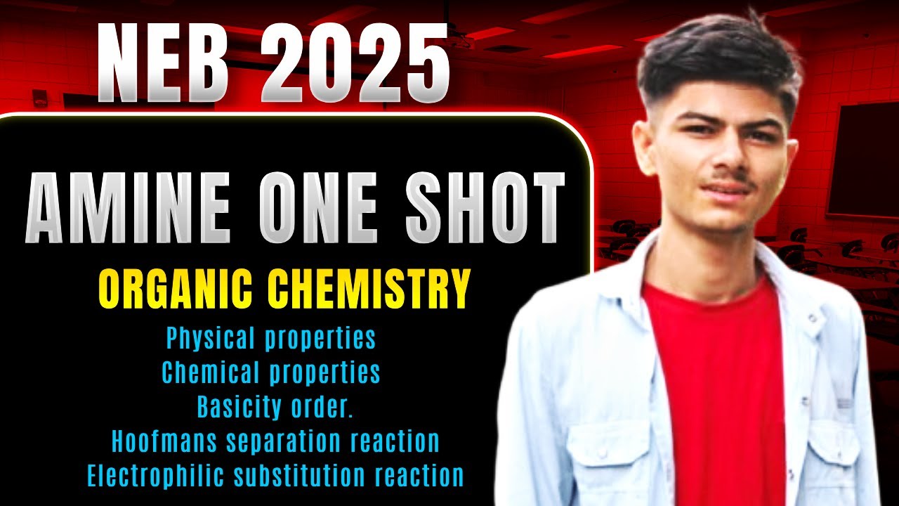Amines one Shot - Class 12 Organic Chemistry | NEB Board | Physical and Chemical Property