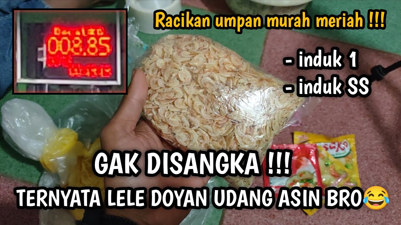 RACIKAN UMPAN UDANG PANLOR EMANG YAHUUD !!!