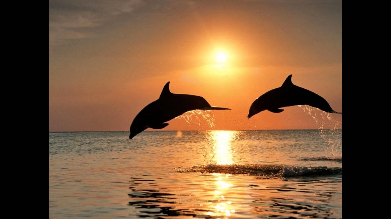 Boyzone - No Matter What (Rumba).wmv