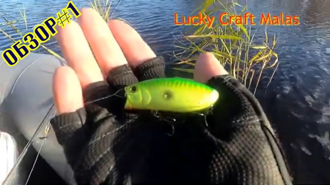 LUCKY CRAFT MALAS. ШАЛОПАЙ ЖАБОВНИКОВ. ОБЗОР.