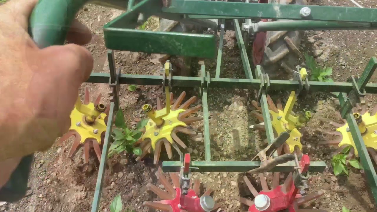 Three row finger weeder on a planet jr B8 two wheel tractor