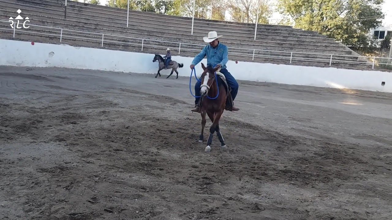 Visita de David Alonso a Rancho La Corporación - Juan Ramos trabajando a La Catarina - Parte 2