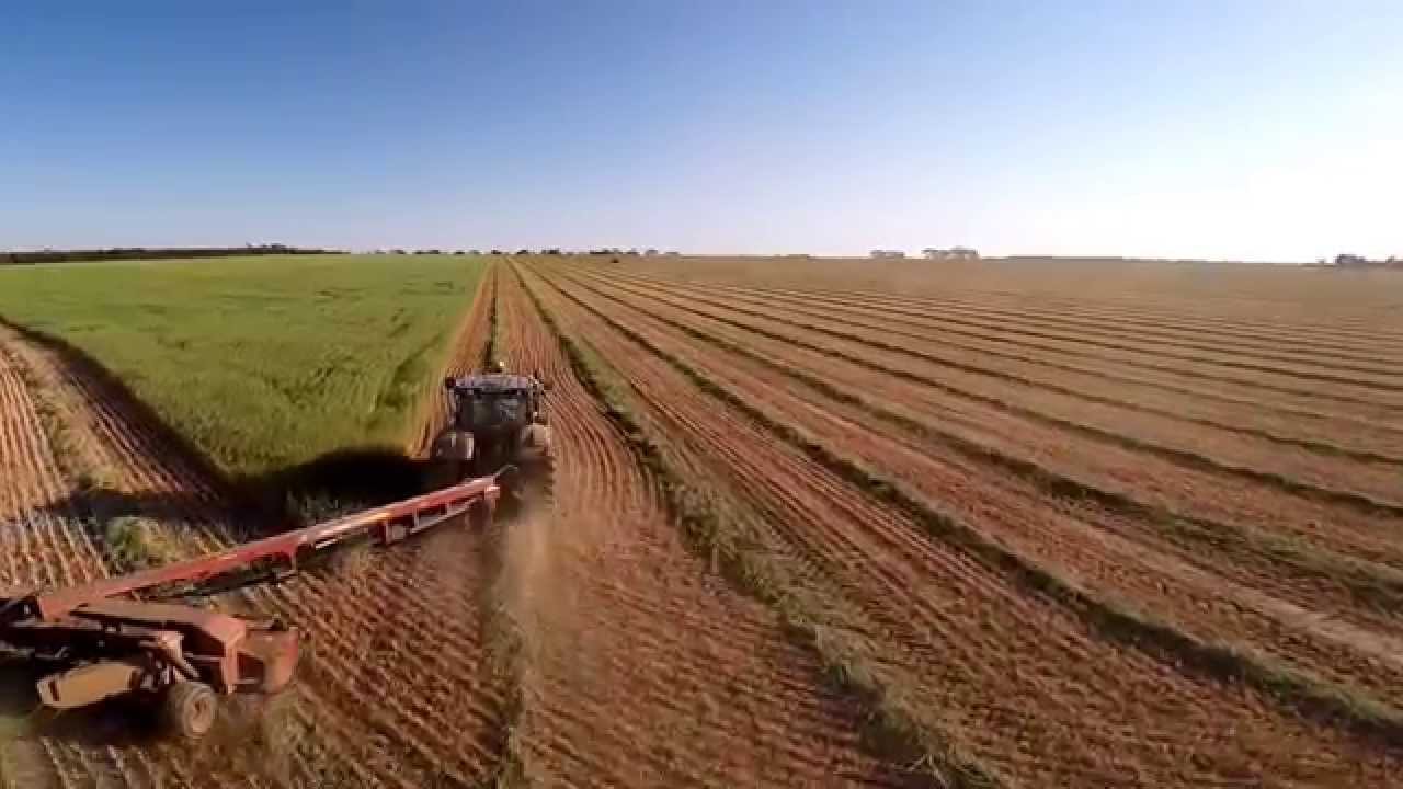 P&J lynch hay merredin w.a 2015