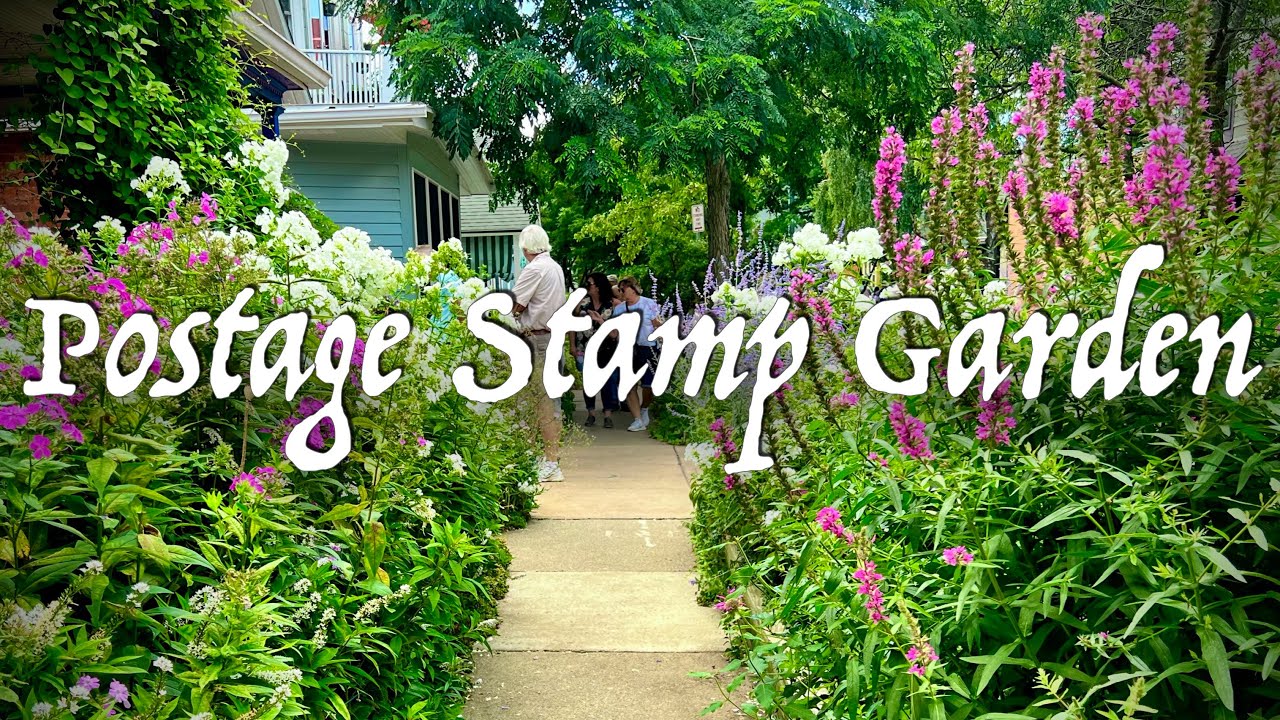 Her postage stamp size garden