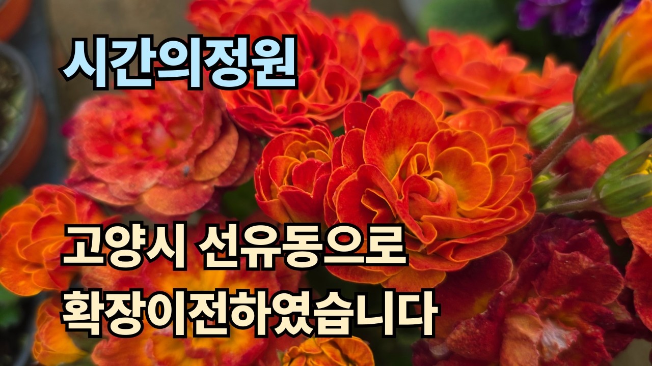 26.3.18.시간의정원,확장이전하였습니다,
