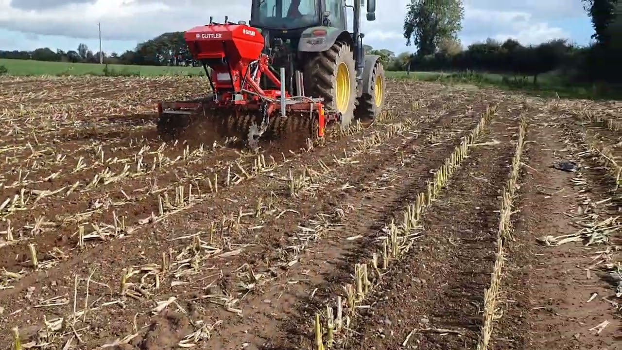 G&uuml;ttler GreenMaster in maize stubble