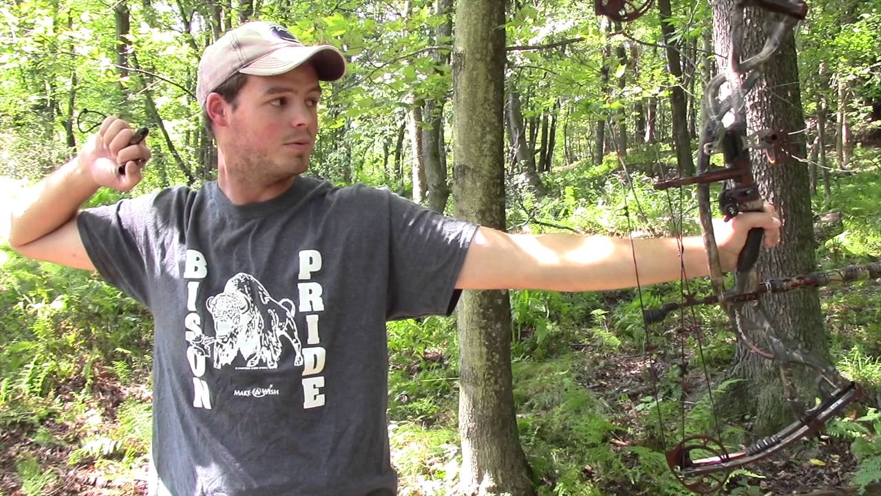 Best Compound Bow Company/Brand