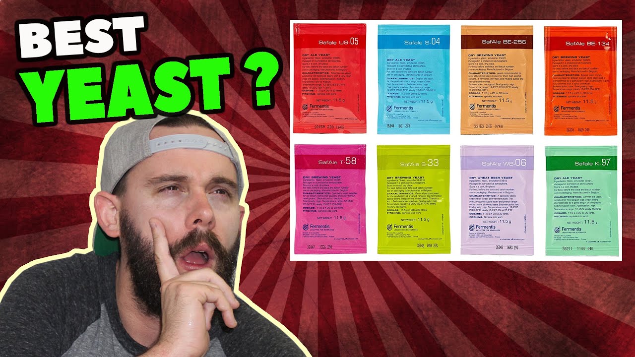 WHAT'S THE BEST YEAST??? | Homebrewing