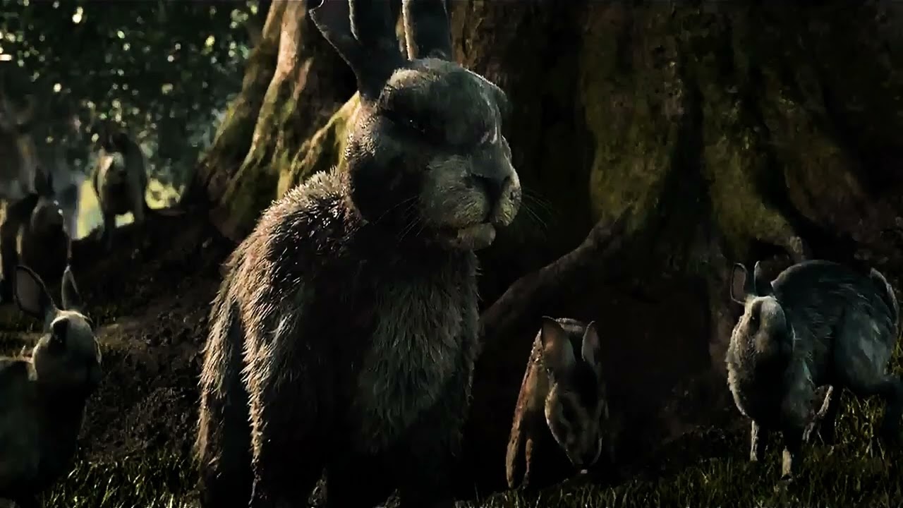 Watership Down 2018 - The Death of General Woundwort