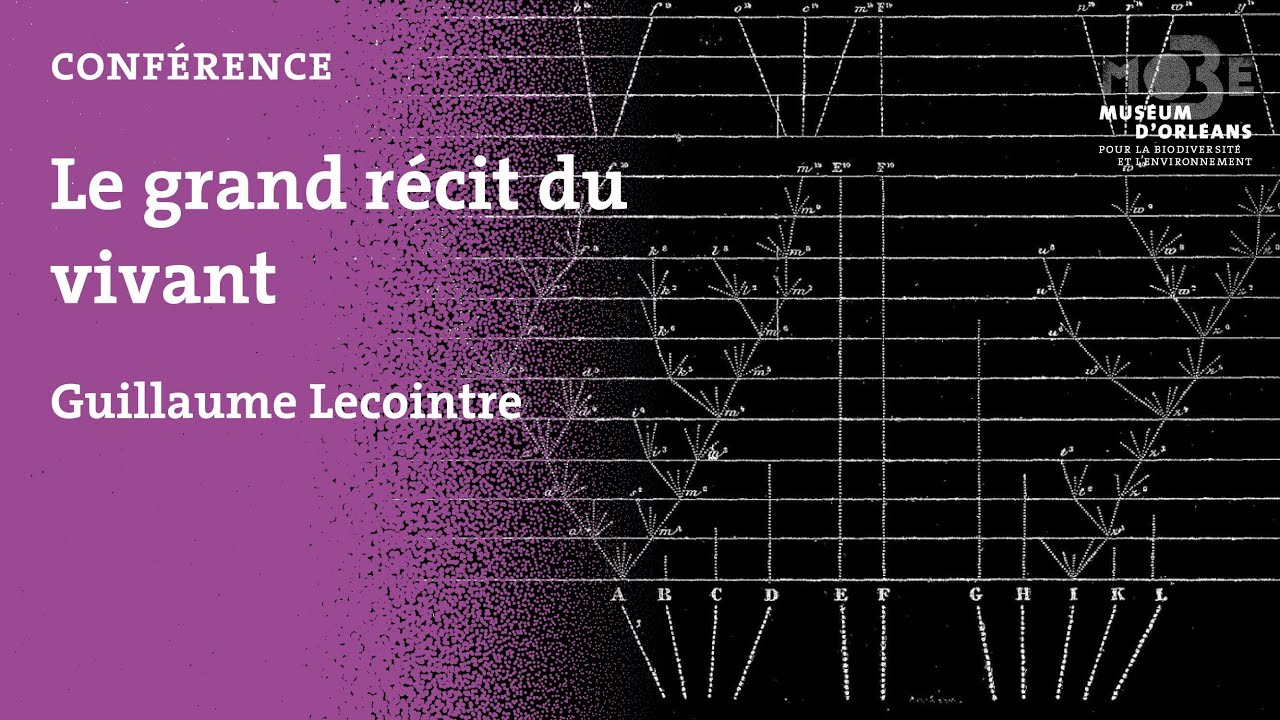 MOBE - CONFERENCE - Guillaume Lecointre : Le grand récit du vivant