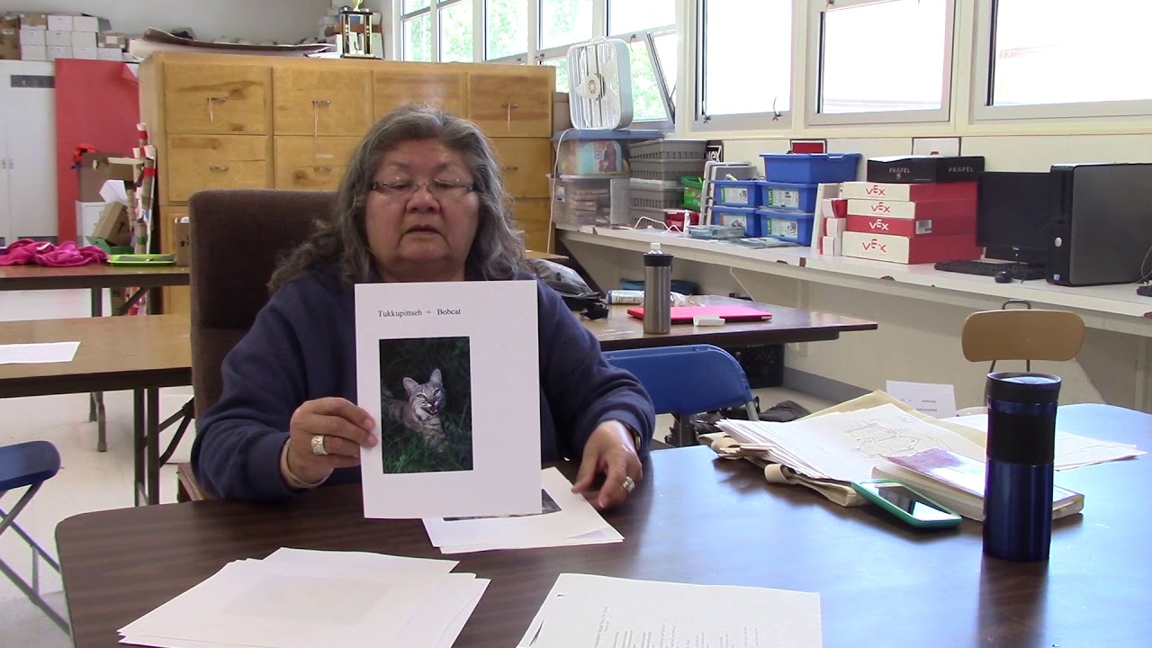 Shoshone Language Learning: Animals, with Elena Atkins, a 2017 Deep West Video