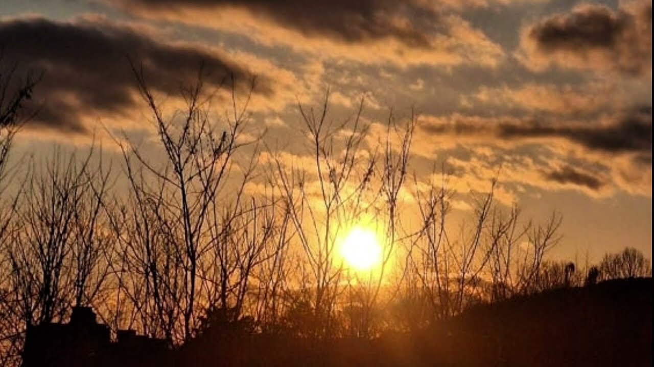 낙엽이 지고 흰눈이 내리듯 #trot#music