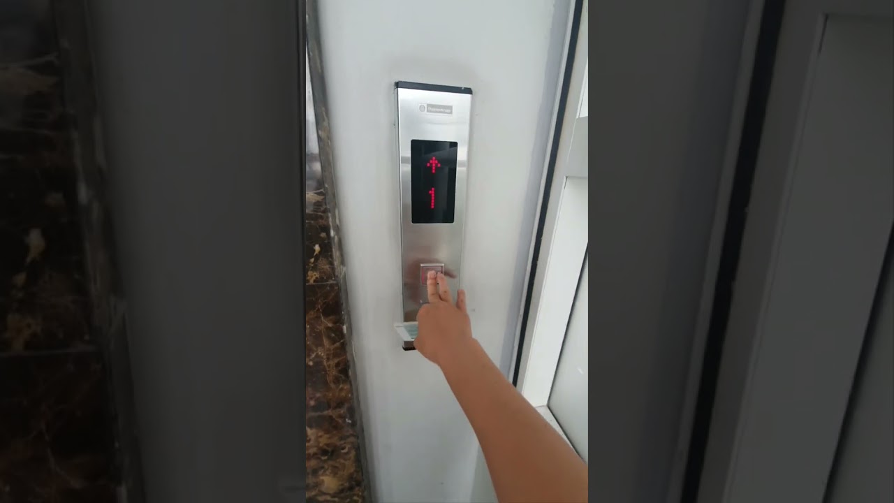 lexington utilities