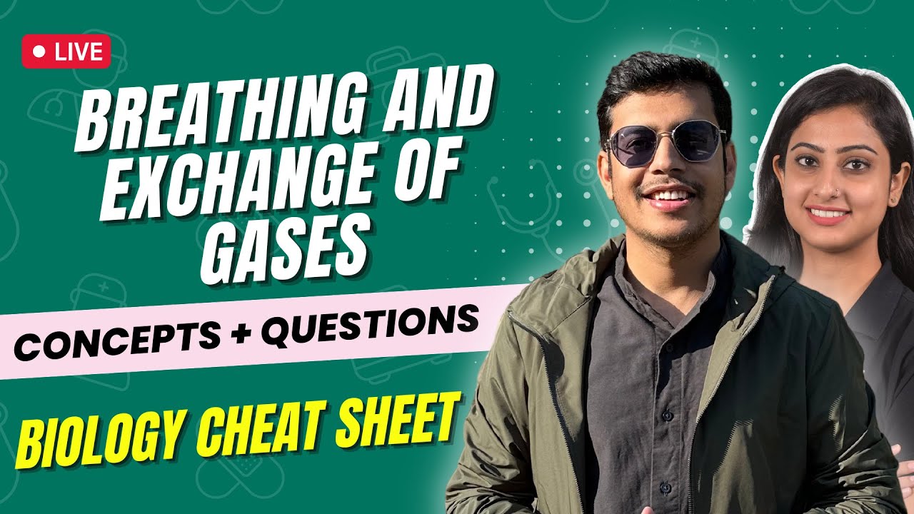 Breathing and Exchange of Gases |Concepts +Questions |Biology Cheat Sheet | NEET 2023