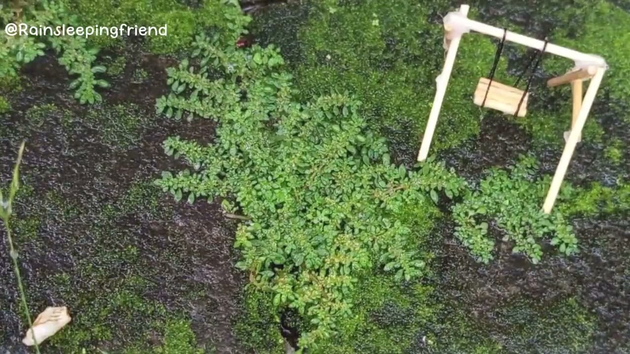 Quiet Rain in Nature | Relaxing ASMR Rain Sounds for Deep Rest