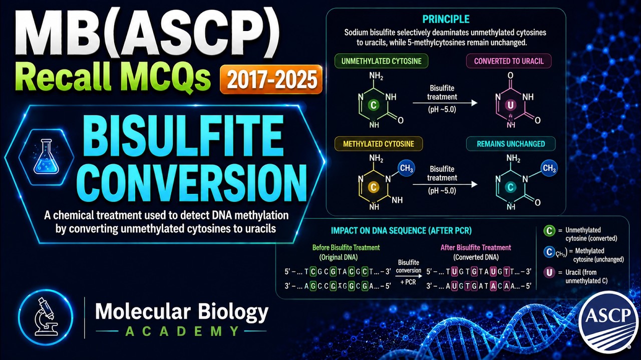 21. MB(ASCP) DNA Methylation: MUST-KNOW Exam Questions! 🧬