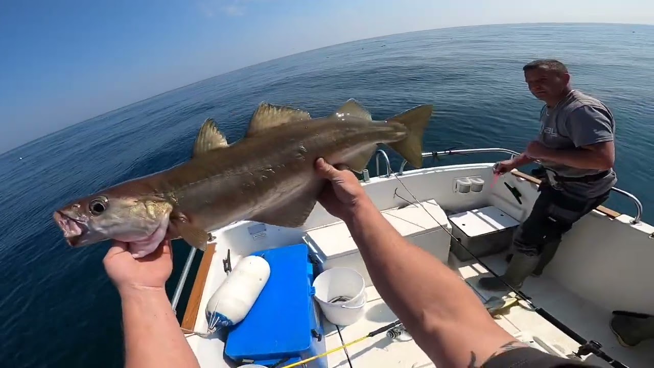 Crazy fun day wreck fishing Guernsey Channel Islands uk