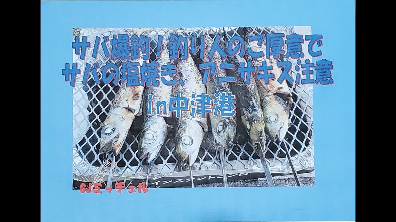 【防波堤　釣り　バーベキュー】中津港でサバが釣れる❗塩焼きにしてみた✨