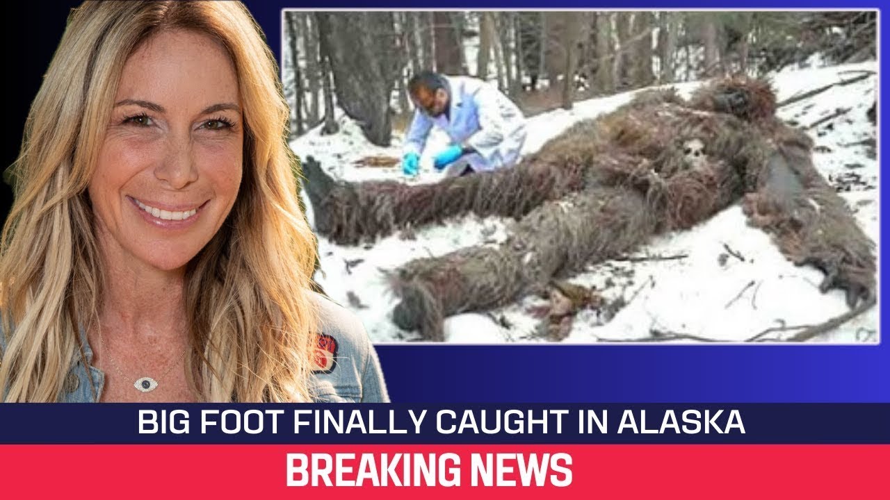 Mireya Mayor   We recovered a BIGFOOT BODY in ALASKA
