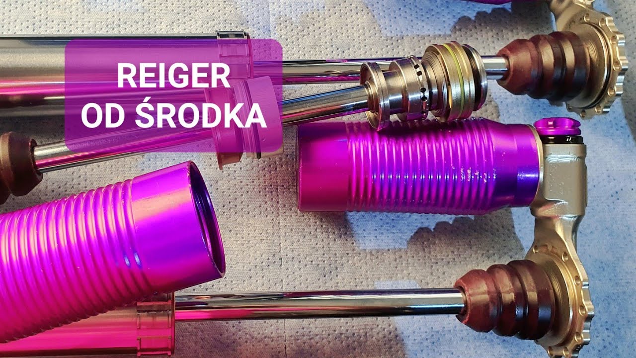 #51 Reiger od środka