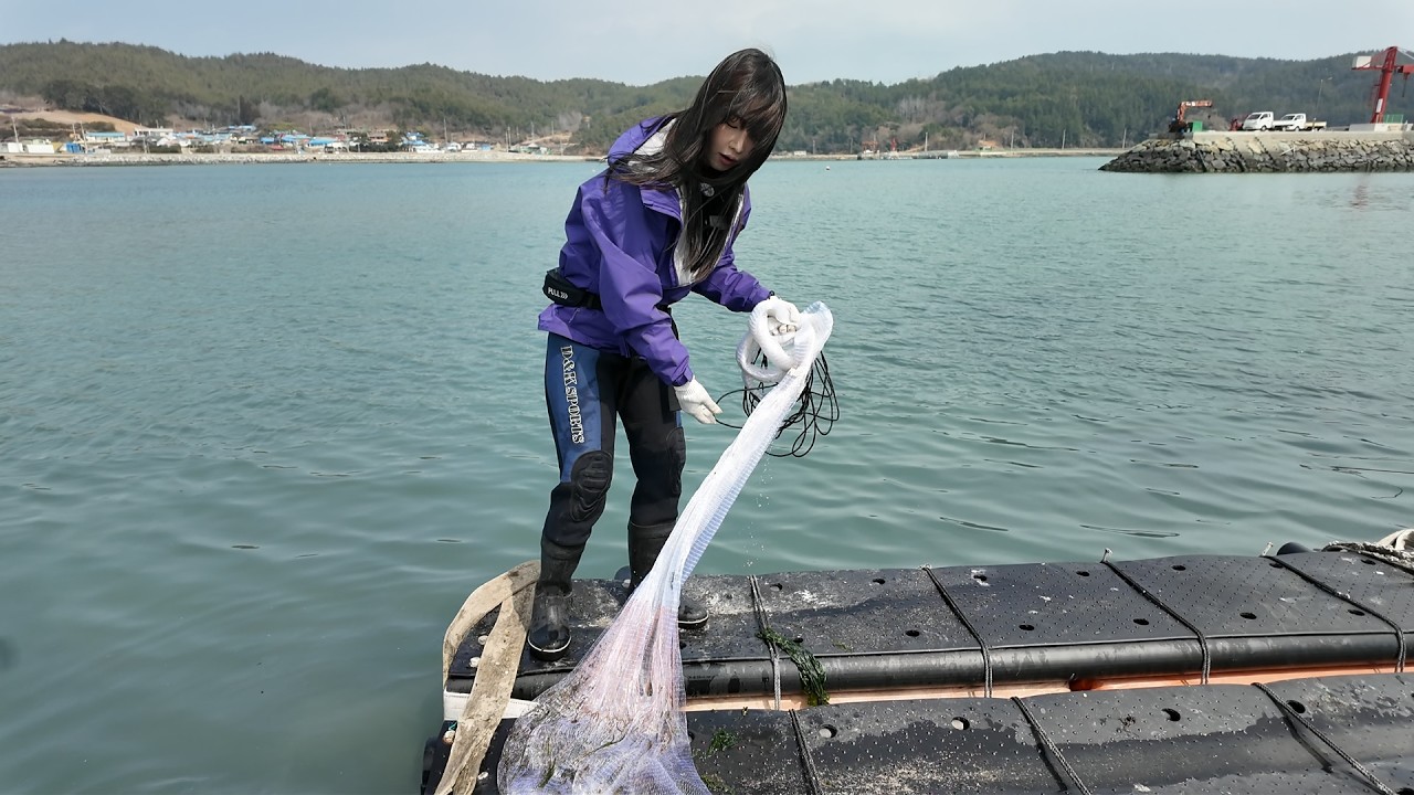 드디어 시즌이 돌아왔습니다!!!